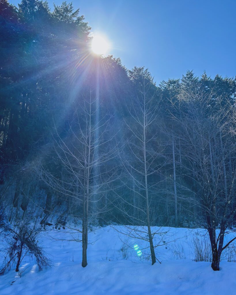 a73baa4e 8d64 4c14 9c08 2a7812278fca